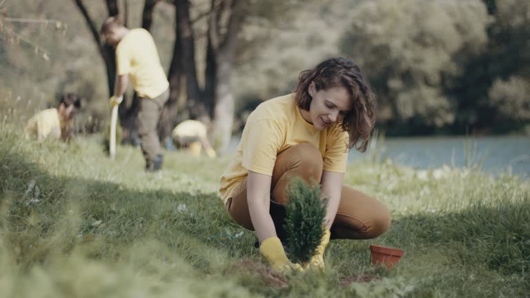 Lawn Irrigation Installation and Maintenance in Seaside, CA